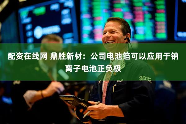 配资在线网 鼎胜新材：公司电池箔可以应用于钠离子电池正负极
