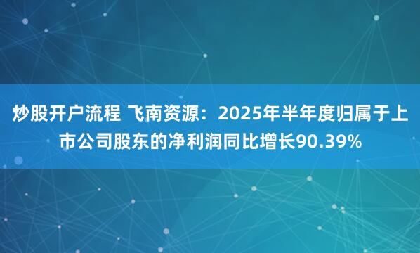 炒股开户流程 飞南资源：2025年半年度归属于上市公司股东的净利润同比增长90.39%