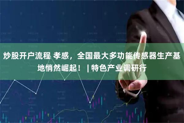 炒股开户流程 孝感,全国最大多功能传感器生产基地悄然崛起! | 特色产业调研行